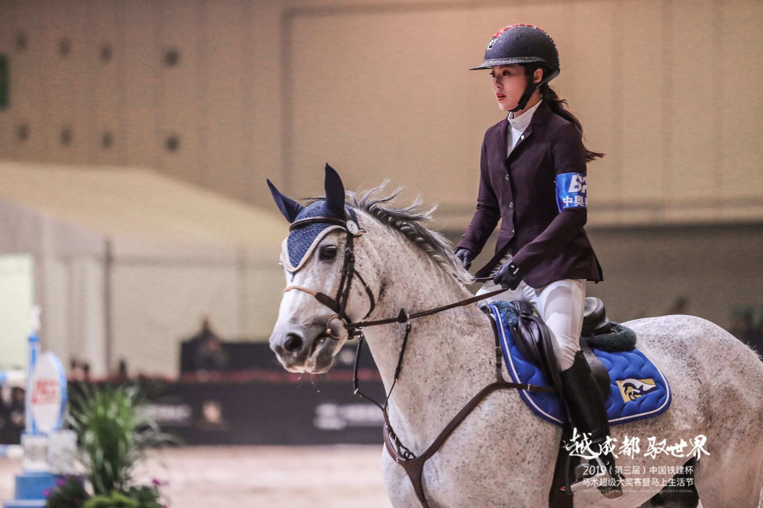 古传良骏日行千里 今有腾博会官网蓉城飘香